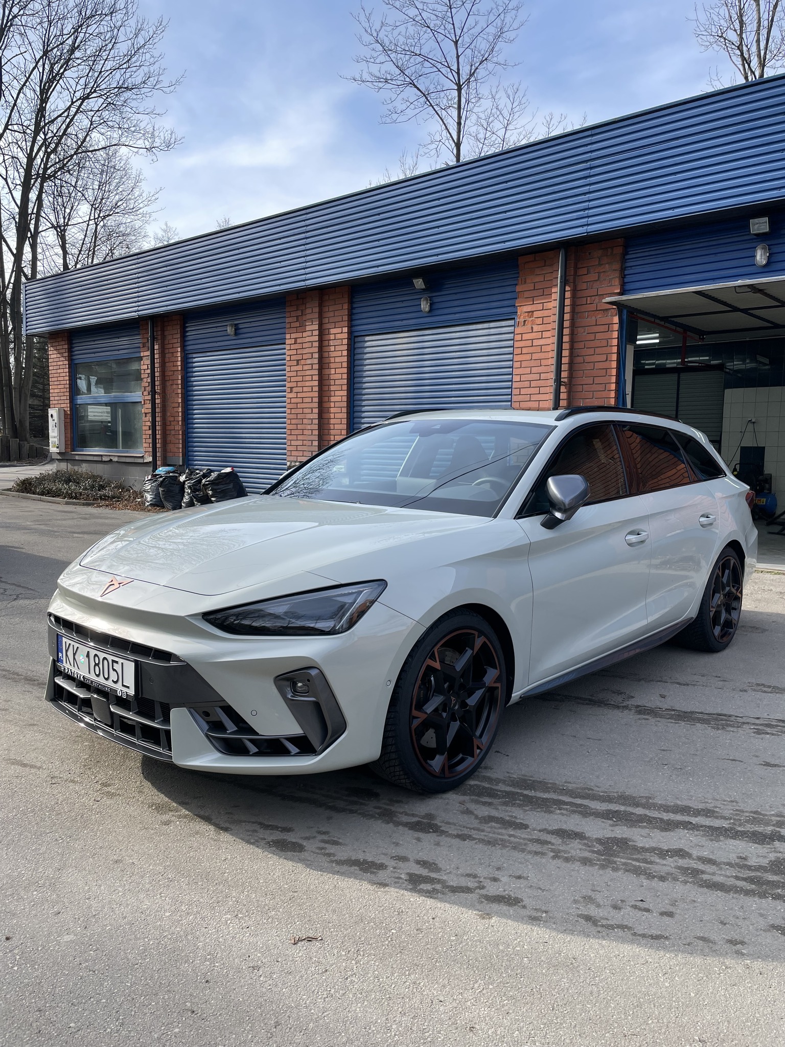 Cupra detailing side